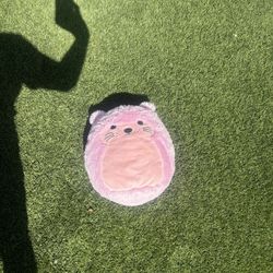 Stuffed Animal