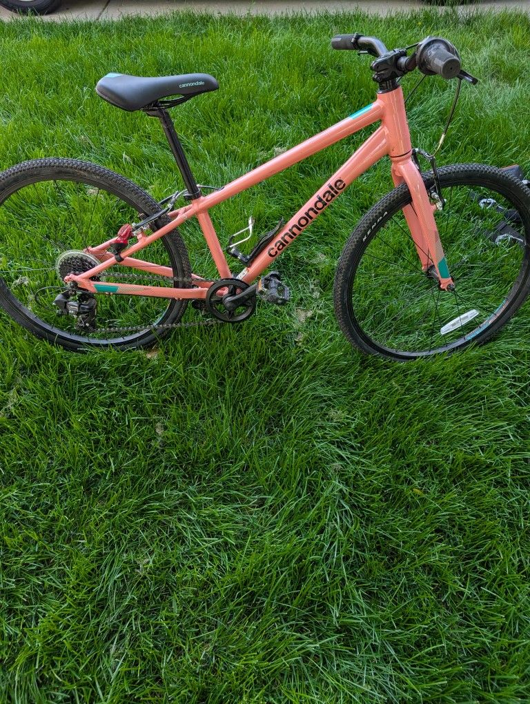 Carbondale bike 24 inch