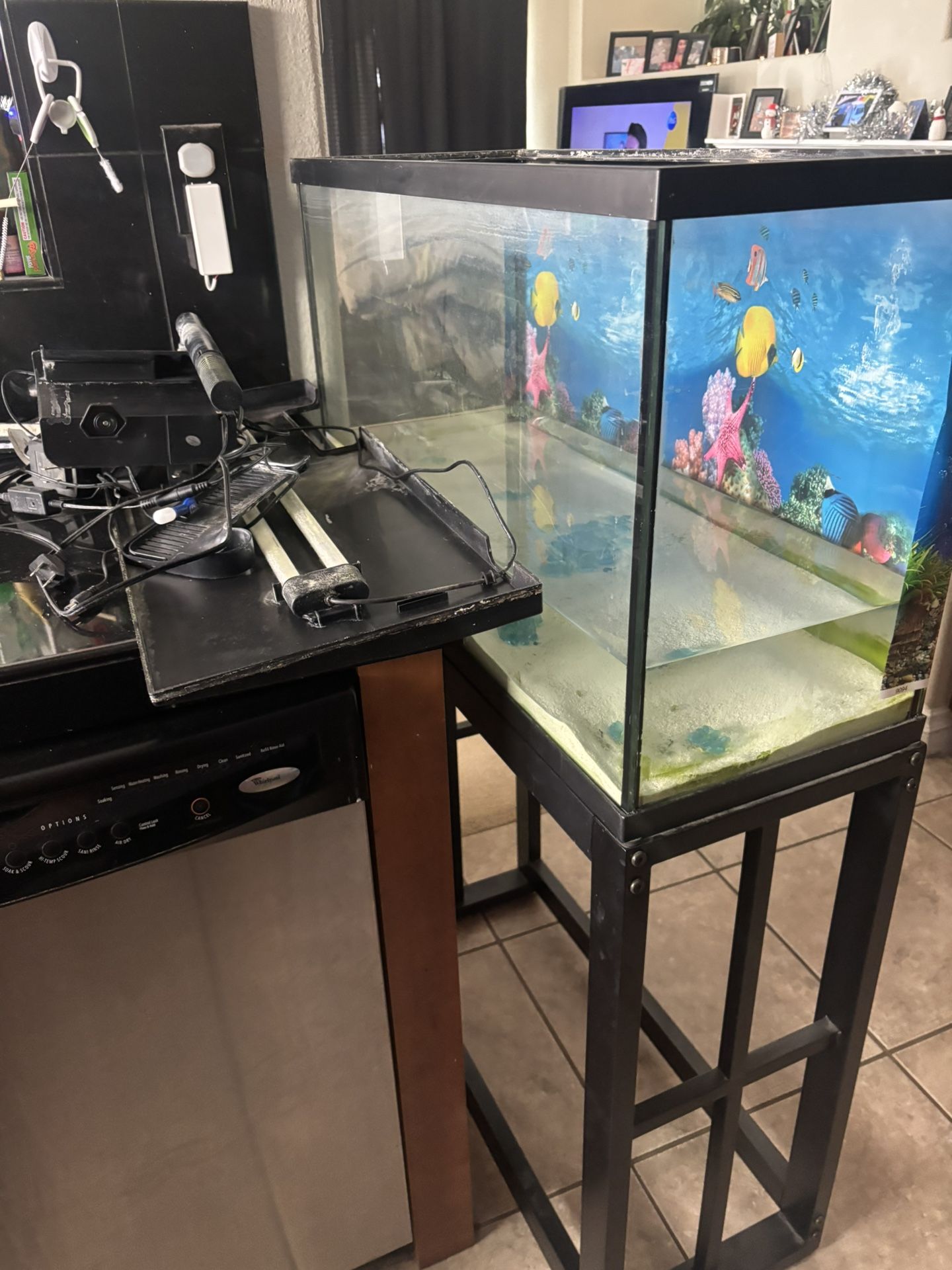 40g Tank Reptile Or Fish?