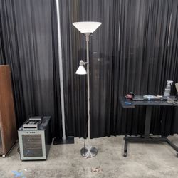 Brushed Nickel Torchiere Floor Lamp with Reading Light