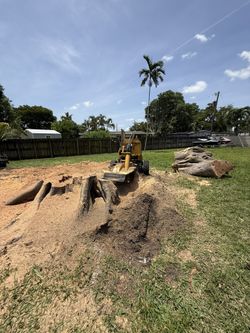 Grinding Stumps
