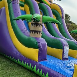 Big Double Slide Tropical Waterslide $260 