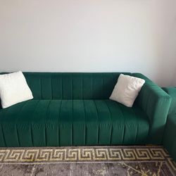 Living room sofa pair