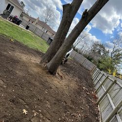 Topsoil 