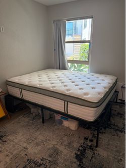 Bed and Frame (queen)