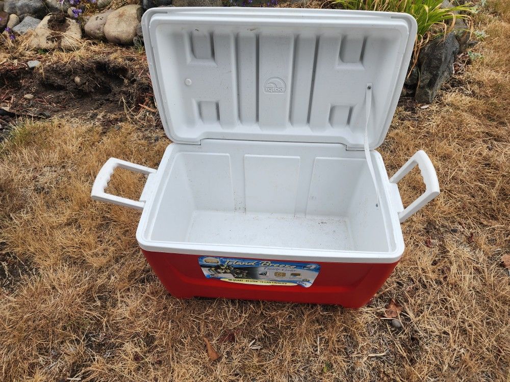 Igloo Cooler