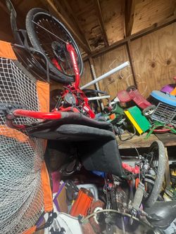 Catrike Trike