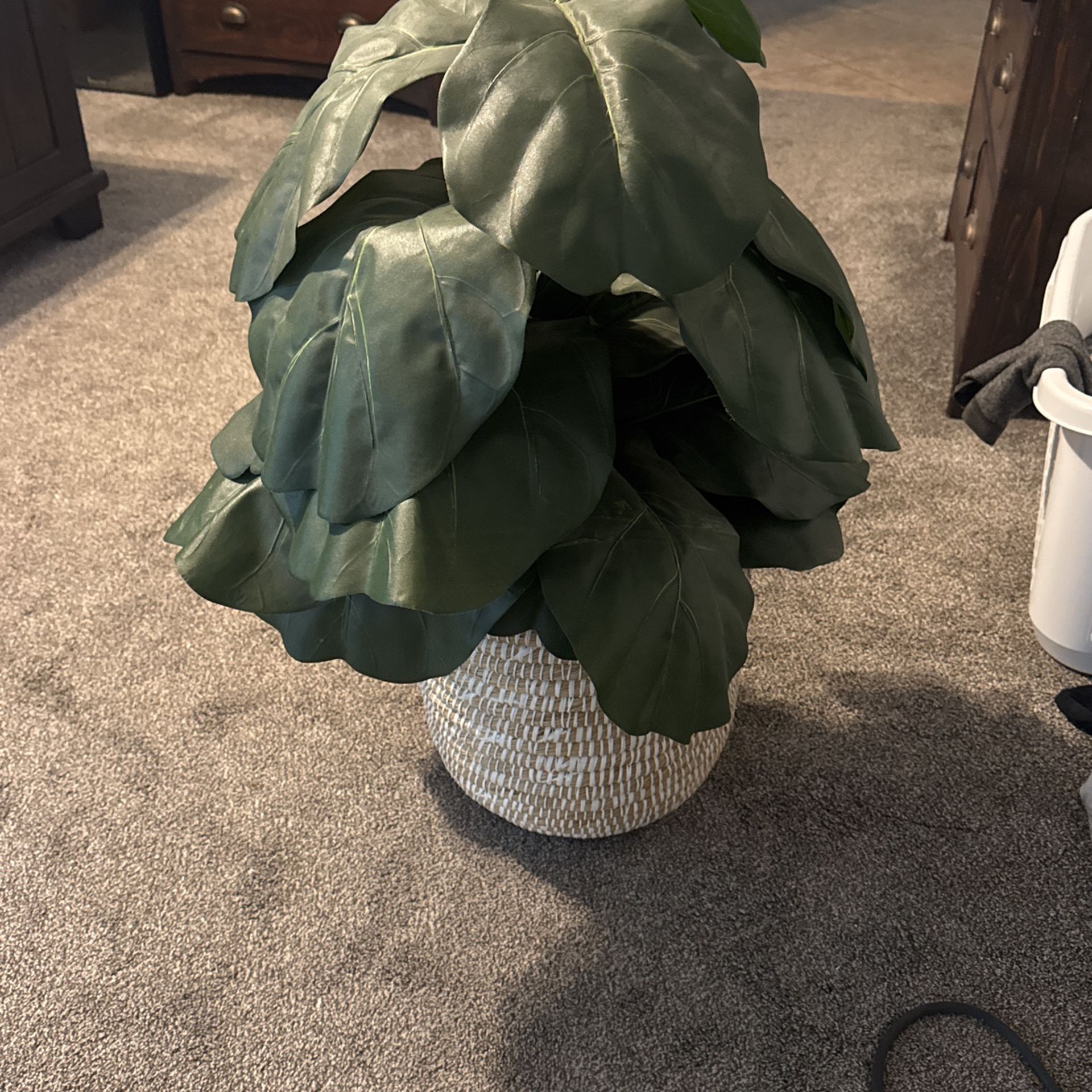 Fake Fig Plant In Basket