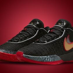 Nike LeBron 20 Miami Heat SIZE 10.5
