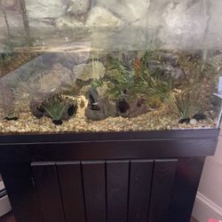 Fish Tank 30 Gallon With Stand 