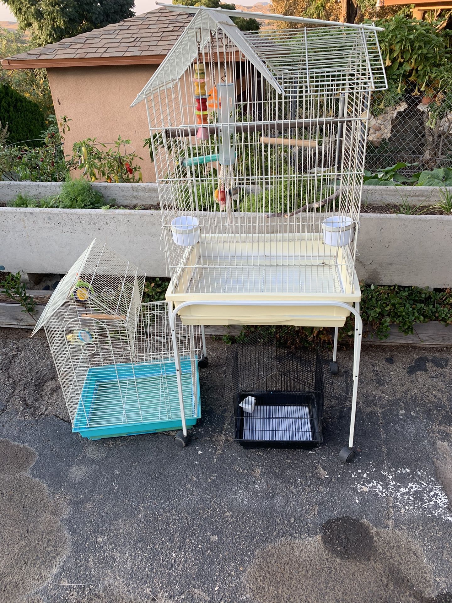 3 bird cages