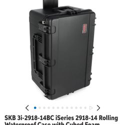 SKB audio Or Photography Case 