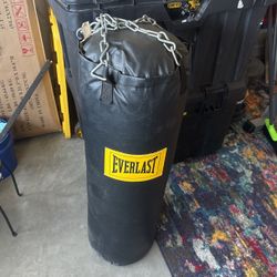 Everlast Punching Bag 