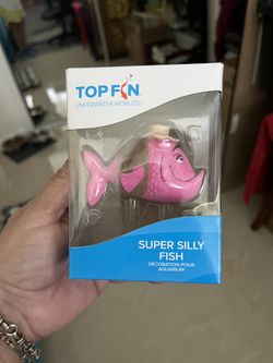 Fish For Aquarium Decorating 