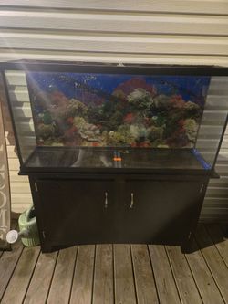 65 gal tank and stand