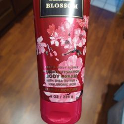 Bath & Body Works Lotion