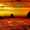 Arizona Merchandiser