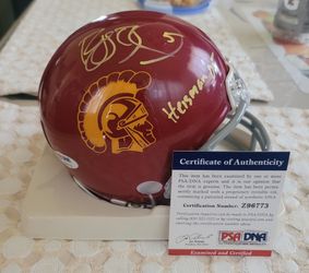 Reggie Bush Mini helmet