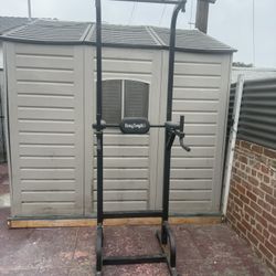 Pull Up & Dip Station 