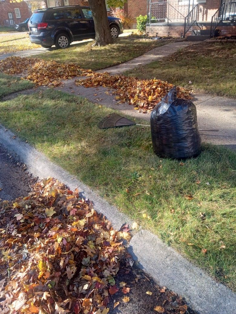 Leafs