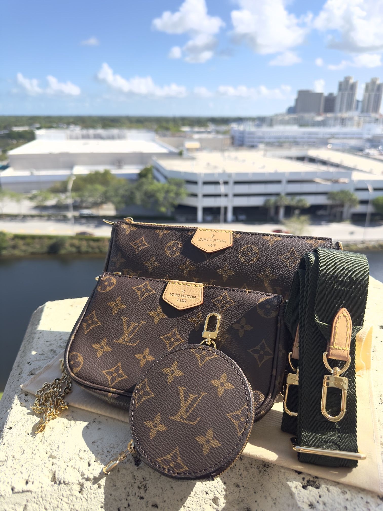 LOUIS VUITTON Multi Pochette