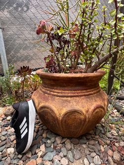 flower pot