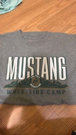 T shirt L to XL