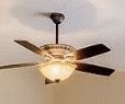 Two Ceiling Fans With Lights