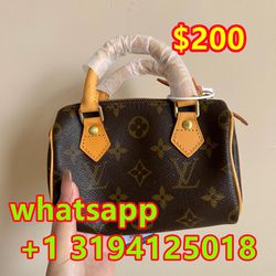 Louis Vuitton lv speedy nano mini bag sholder bag