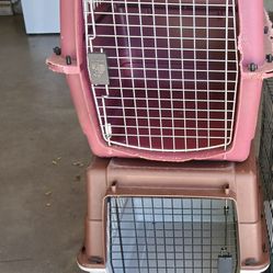 Dog Crates $15 Each