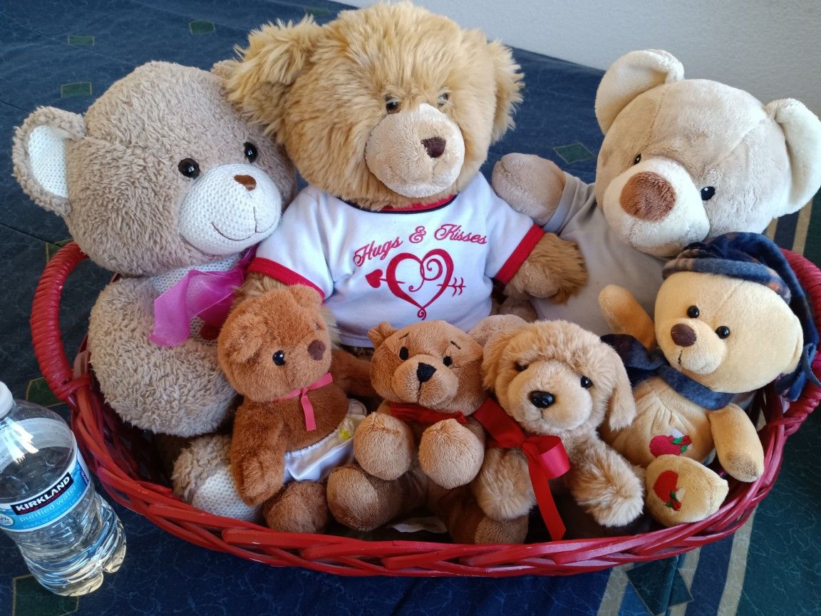 Teddy Bears With Basket Take It All For $60