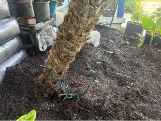 Landscape soil for projects