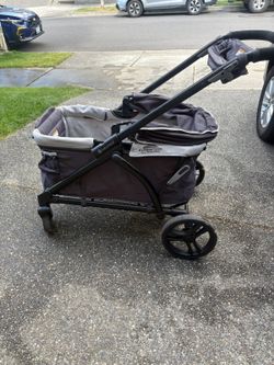 Expedition 2 in 1 stroller wagin