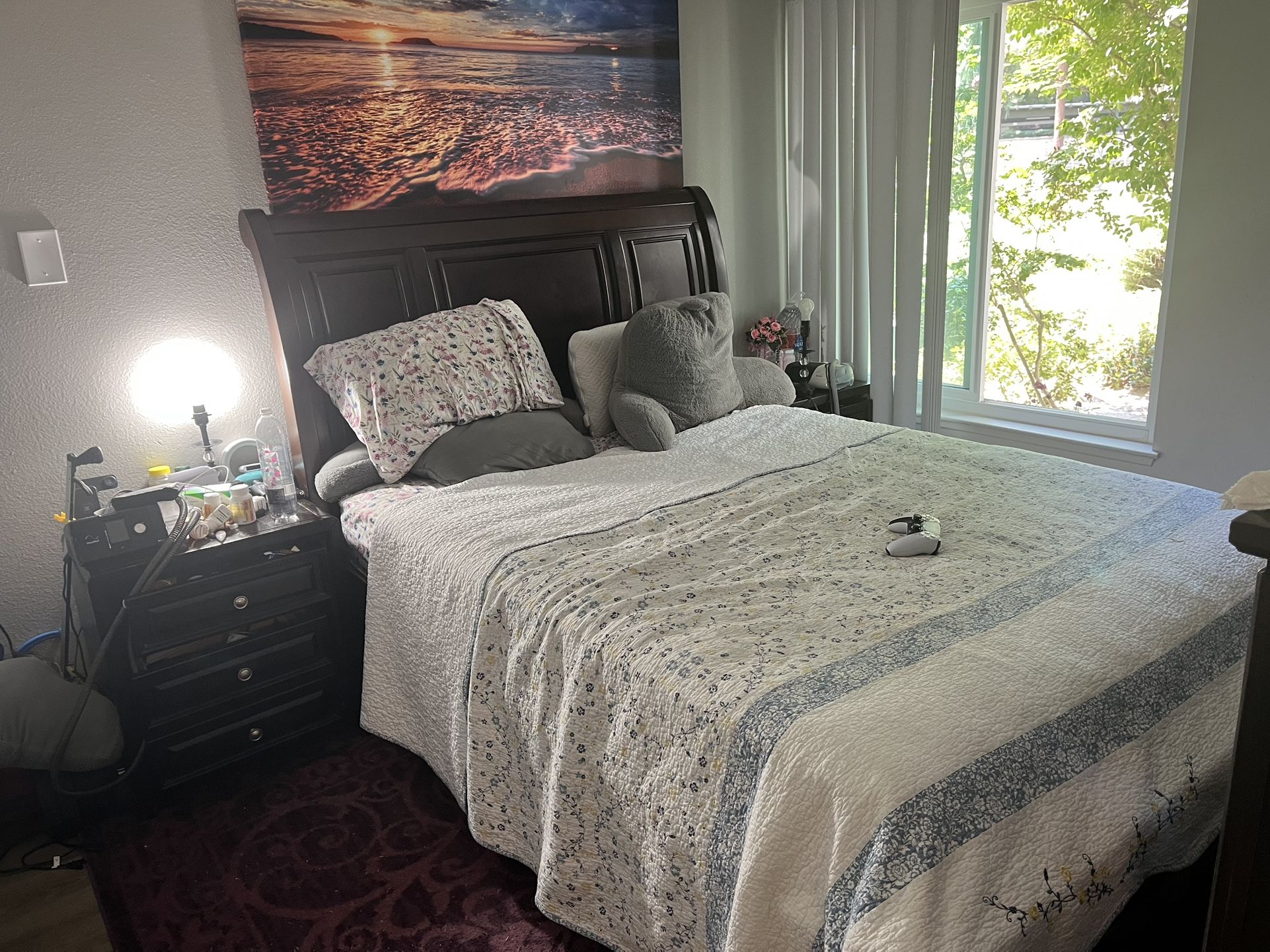 Queen Bed Used Like New