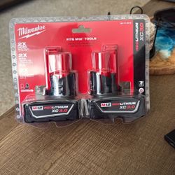 Milwaukee Battery’s 