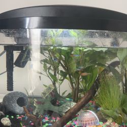 Fish Tank 5.5 Gallons 