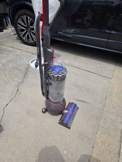 Dyson Animal Ball