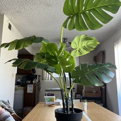Fake Monstera Plant
