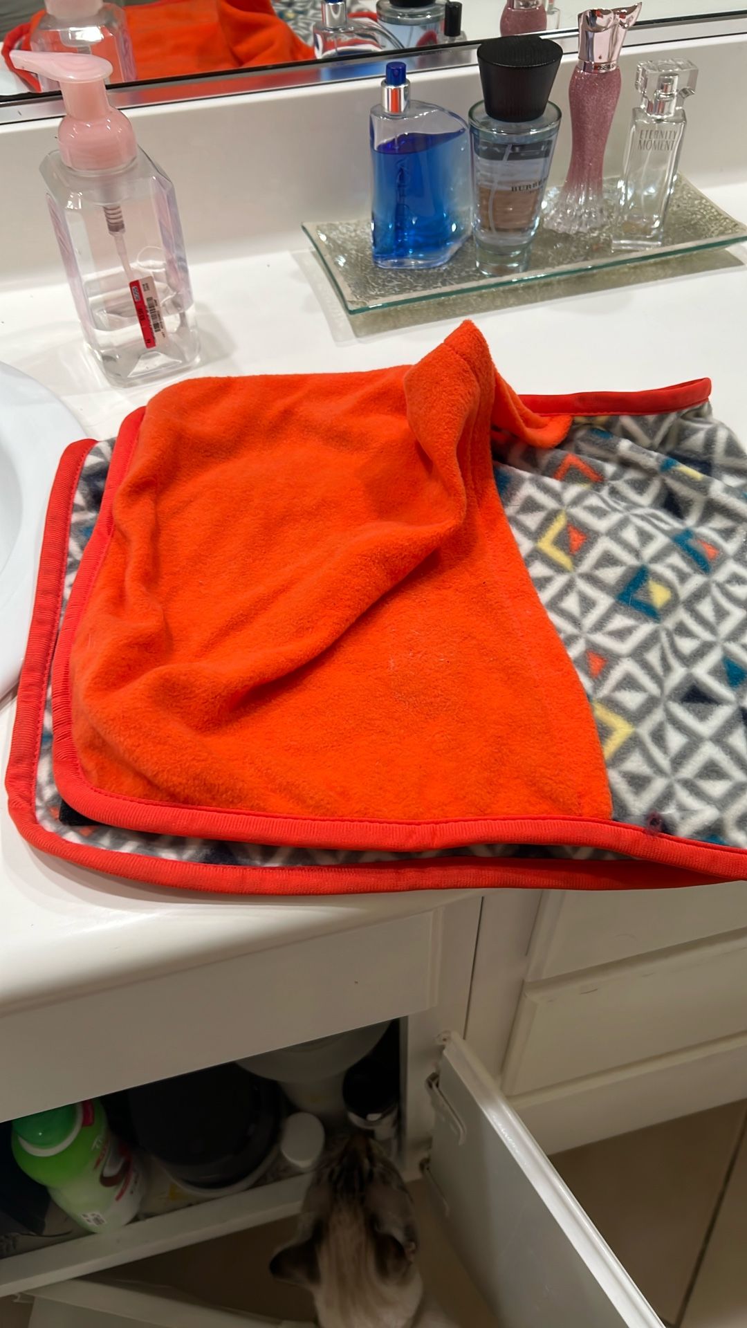Small Pet Blanket 