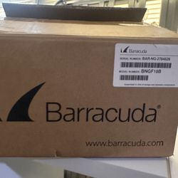 Barracuda