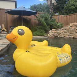 Duck Floaty 
