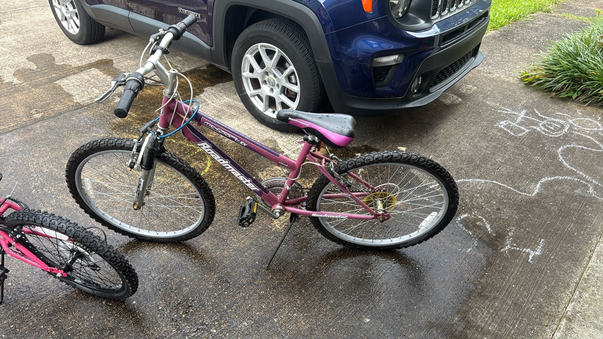 Cool Purple Bike