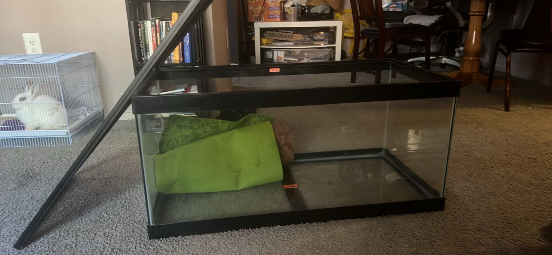 Large 40 Gallon Aquarium – Perfect for Fish or Reptiles – $70