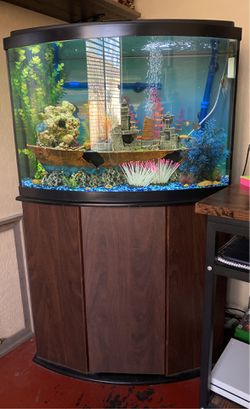 36 Gallon Fish Tank With Stand (comes everything in the pictures) (price negotiable) Thumbnail