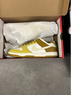 Nike dunk low retro