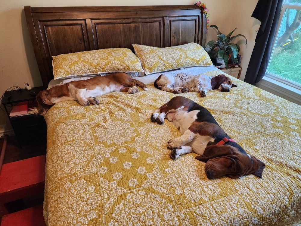 Solid Wood King Sleigh Bed Frame with Drawers OBO