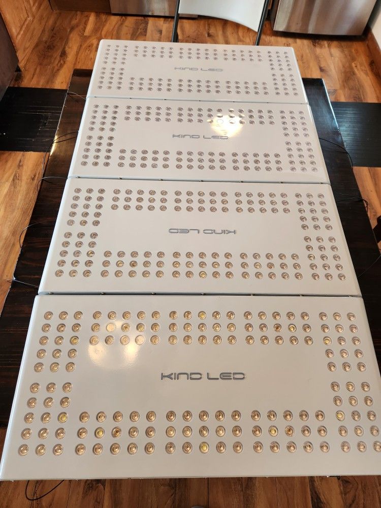 Kind Led Lights XL600. $80 Each