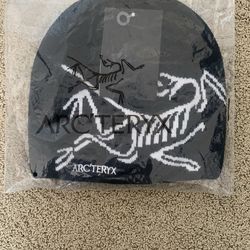Arcteryx beanie