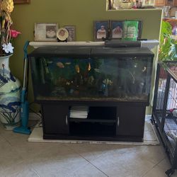 Fish Tank R Not For Sell Dm More Information 