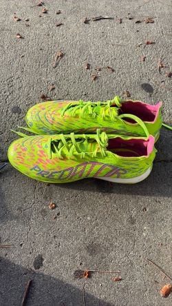 Predator shoes